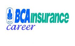 bca insurance career